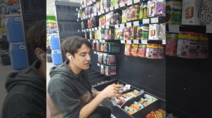 Чем лечить белые червячки на грядке?