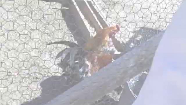 Ford Fiesta, I'm Yours If You'll Have Me!