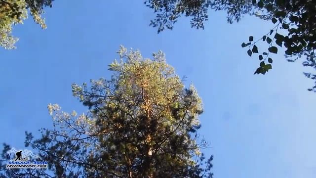 Творческие Моменты