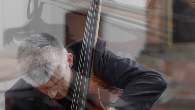 Schubert: Arpeggione Sonata (2nd & 3rd mov.) Božo Paradžik & Mira Wollmann смотреть онлайн