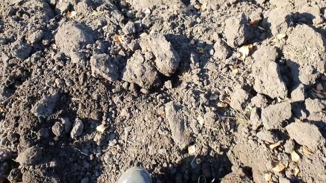 Коп с Легендой и Симплекс плюс,старые церковные огороды,от рассвета до заката, заброшенная церковь смотреть онлайн