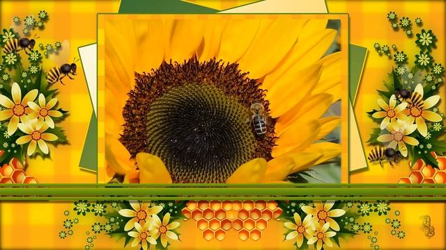 Медовый Спас. Очень красивое поздравление с Медовым Спасом! смотреть онлайн