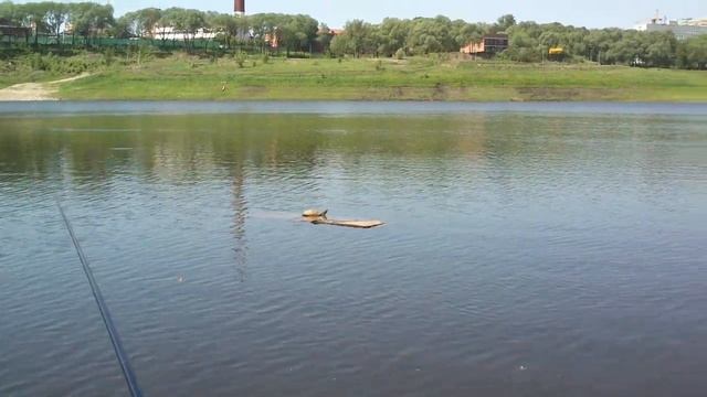 пираты Борисоглебского озера.pirates of the STS lake смотреть онлайн
