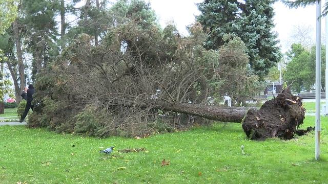 На улицах курорта ликвидируют последствия стихии