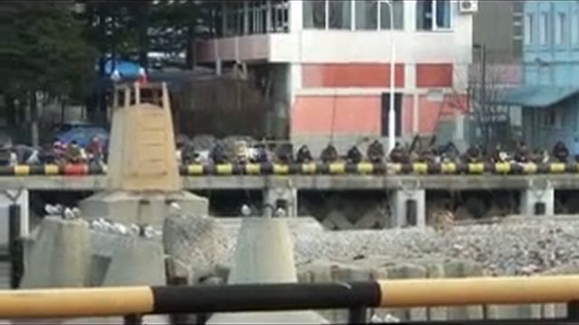 Белый лебедь в Черном море.avi смотреть онлайн