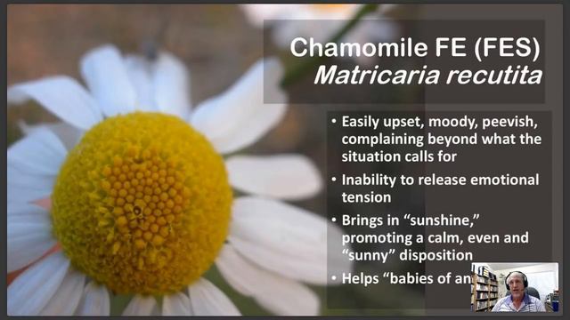 Flower Essences For The 12 Energy Centers: Emotional Healing Course Module 3, Lesson 4