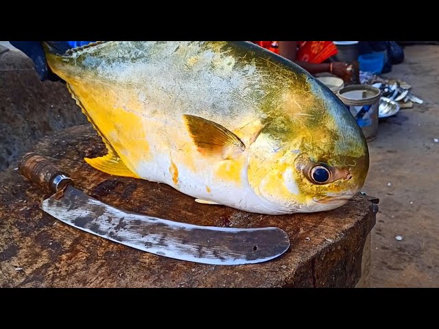 Редкая большая ЖЕЛТАЯ рыба POMPANO для нарезки и нарезки | Super Fresh BIG Fish Cutting Skills в Ази смотреть онлайн