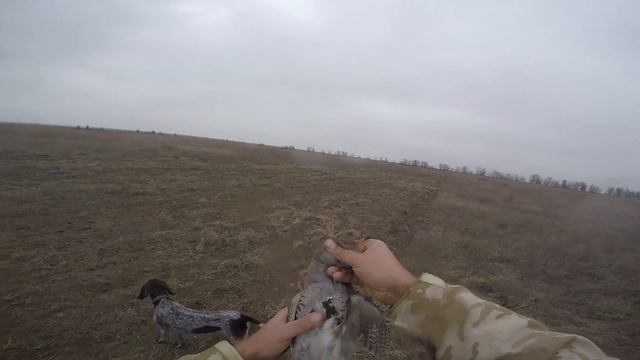 Охота на уток и гусей." НА ОСЕННИХ ПЕРЕЛЕТАХ". смотреть онлайн