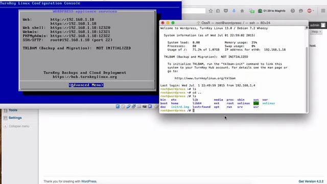 TurnKey Linux Part 2 - Fix WordPress updates смотреть онлайн