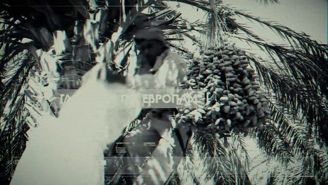 Серия 13. Африка: материк пустынь смотреть онлайн