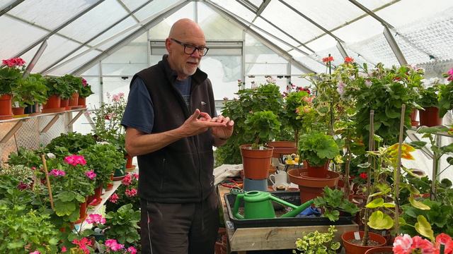 Video Short - Compost Trial Update - I'm Making My Own JI