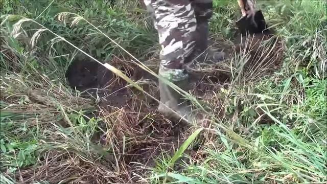 Поиск Клада с Металлодетектором в ручье смотреть онлайн