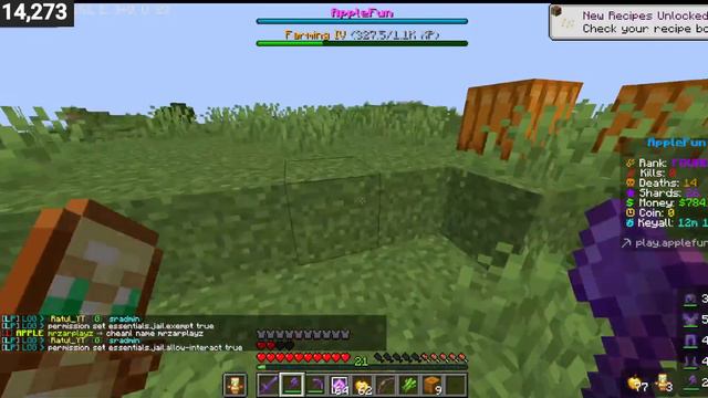 MINECRAFT LIVESTREAM Best Public Lifesteal SMP For Minecraft PE 1.20 | PE | APPLEFUN SERVER смотреть онлайн