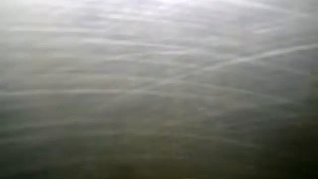 ДВС 2.0 С307 навес Focus 2 (ОАЭ К18, №13) смотреть онлайн