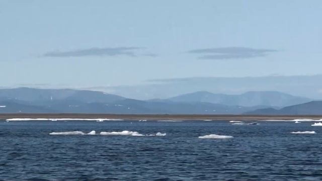 Чукотское кольцо 2019. Трейлер к фильму о путешествии от Тихого океана до Ледовитого и обратно. смотреть онлайн