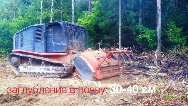 Мульчер Раптор 800  Raptor 800 AHWI Prinoth лесная техника