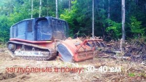 Мульчер Раптор 800  Raptor 800 AHWI Prinoth лесная техника