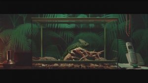 Магне B6 - Реклама