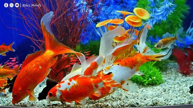 Успокаивающая музыка для нервов 🌿 Лечебная музыка для сердца и сосудов, расслабление #150