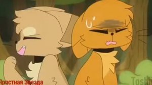 Коты Воители Песчаная Буря и Огнезвёзд