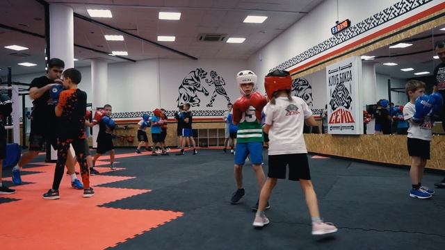 Новый зал боксерского клуба "Сейд" в Петрозаводске смотреть онлайн