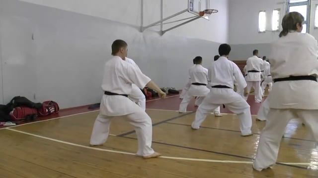 Сборы Артура Ованесяна в Перми 31.01.2014-01.02.2014 (ката) смотреть онлайн