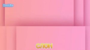 КАК ГОВОРИТ СЛОН / ЗВУКИ СЛОНА ?


#слон #как_говорит_слон #звуки _слона