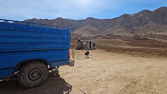 Timeless Abodes: The Artistry Of Nomadic Hut Exteriors With Plaster And Stone Powder ?✨