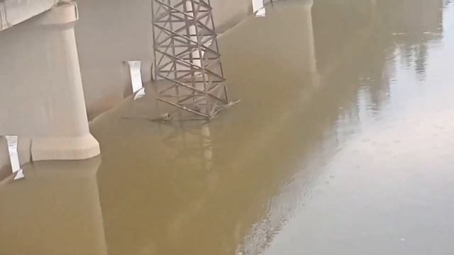 akkalkot sangavi parisar vblog @aayyashaikh смотреть онлайн