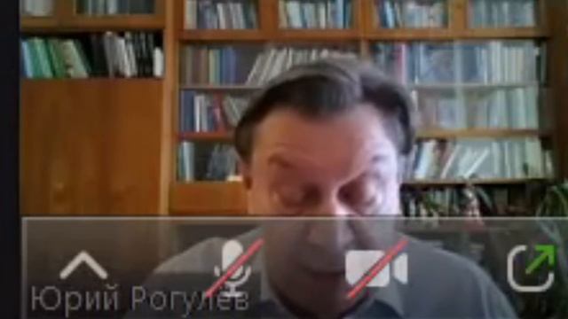 Истфак МГУ "История стран Европы и Америки 1945 - н.в." Лекция 26. Читает Рогулёв Ю.Н. смотреть онлайн