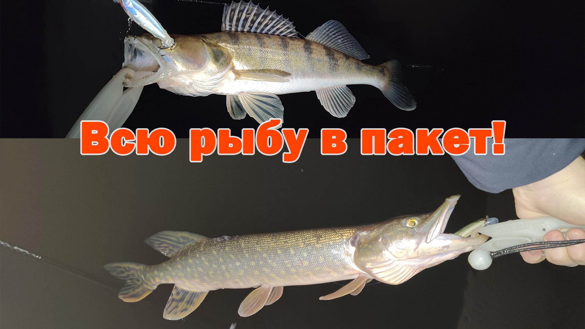 Отличное открытие зимнего спиннинга 2023/2024 на Москва-реке