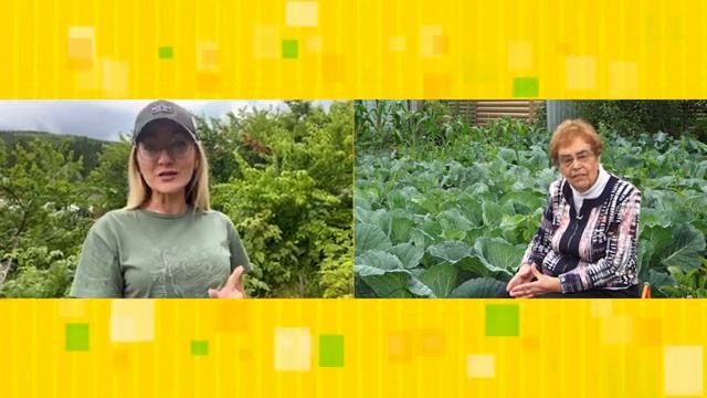 Академия на грядках 27 июля 2022 смотреть онлайн