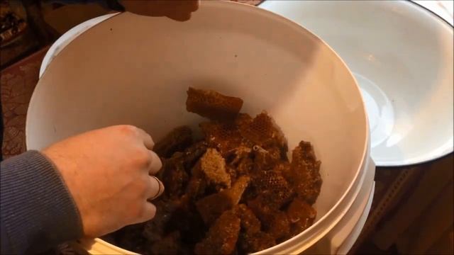 Инкубатор для разведения восковой моли. Как часто и сколько можно собирать ПЖДВМ в домашних условия смотреть онлайн