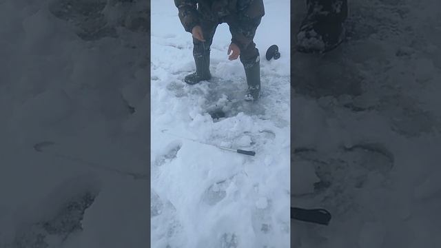 VID 20171118 103335 смотреть онлайн