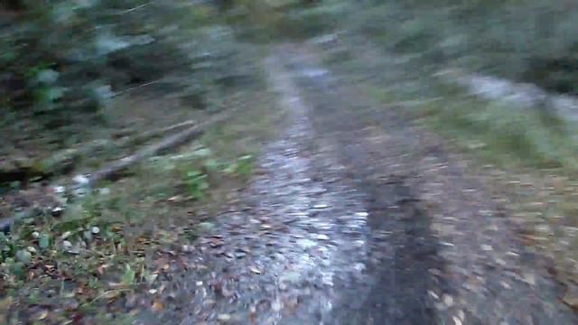 по реке/ down the river HD Dmitriy Parshin Liquid Image смотреть онлайн