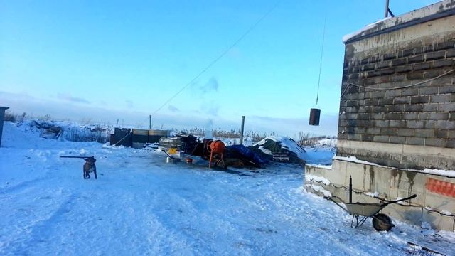 Собака на стройке смотреть онлайн