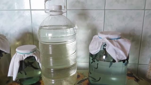 Уход за пиявками, хранение пиявок, как менять воду пиявкам, ЛАЙФХАКИ ОТ ЯТРИНЫ смотреть онлайн