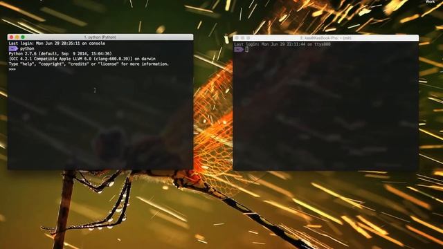 Hello World con la consola en Python смотреть онлайн