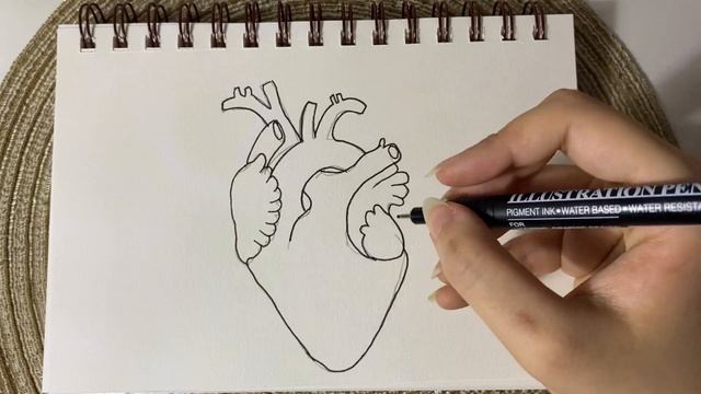 تعلم رسم قلب الانسان بالخطوات смотреть онлайн