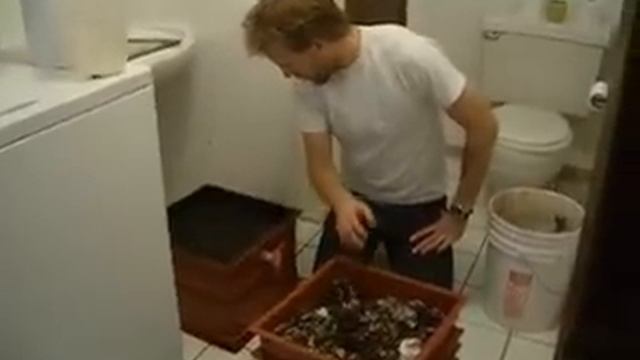 Harvesting Worm Castings From the Worm Factory смотреть онлайн