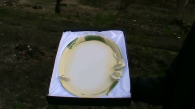 ТАРЕЛКА (Китай).avi