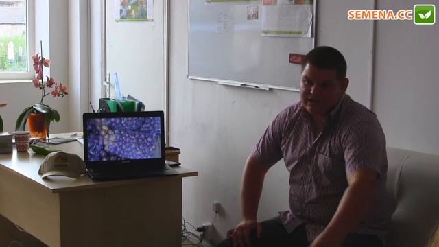 Ричи F1 капуста (Sakata) семинар Sakura смотреть онлайн