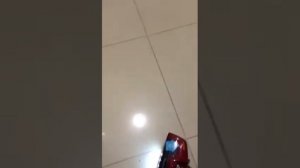 Беспроводной пылесос Electrolux Ergorapido_обзор техники