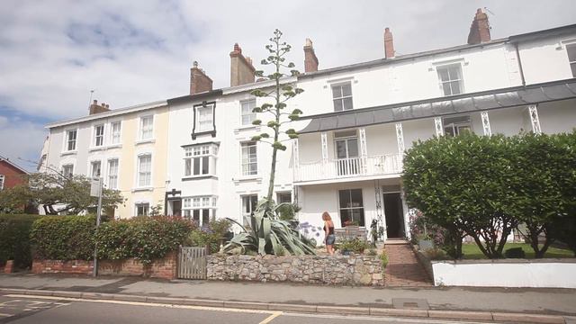 Super rare agave plant grows 25 ft in 2 months смотреть онлайн