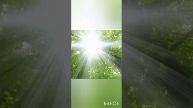 Осении прогулки глава 3 смотреть онлайн