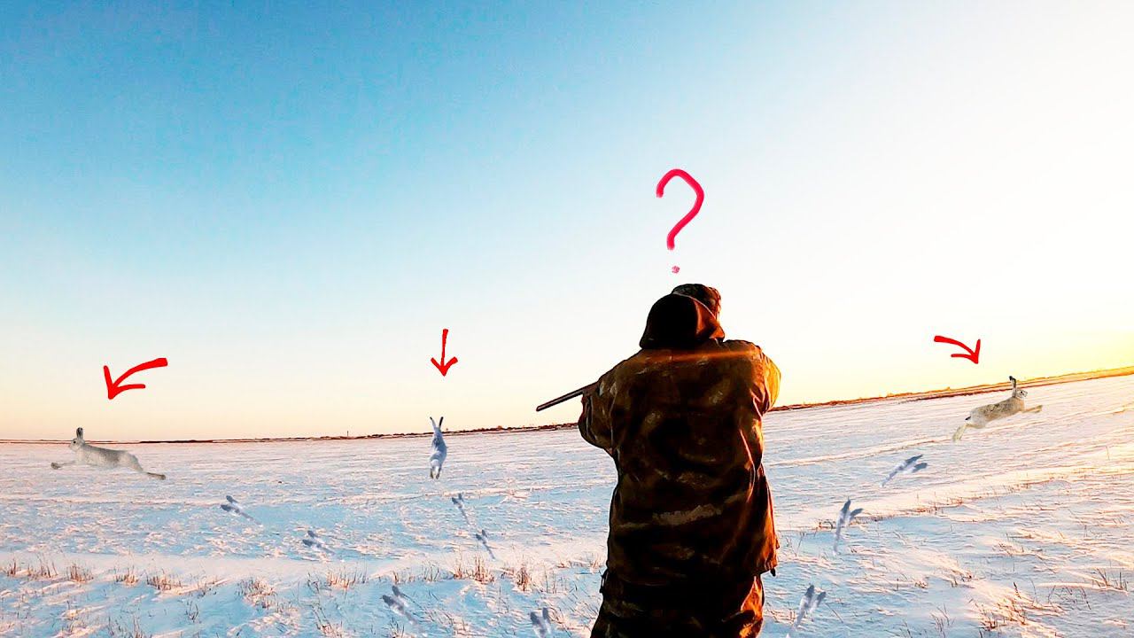 ОХОТА НА ЗАЙЦА 2024. ТАКОЙ ОХОТЫ У МЕНЯ ЕЩЕ НЕ БЫЛО! ТРИ С ЛЕЖКИ. смотреть онлайн