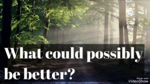 "Environmental problems and how to solve them"