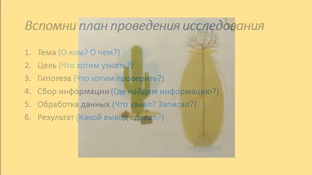 Естествознание. 2 класс. урок 5. Как живут растения? смотреть онлайн