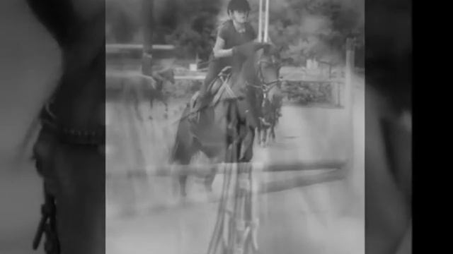 I LOVE MY PONIES смотреть онлайн