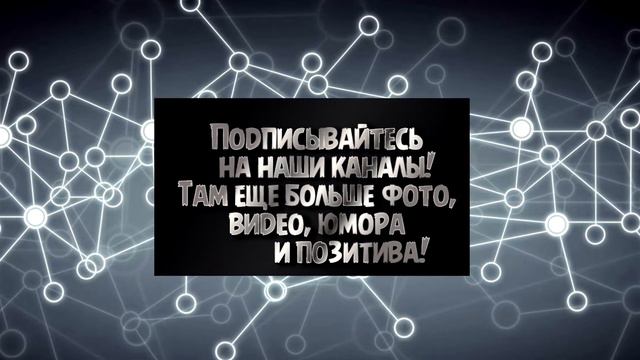 Долли Партон челлендж / Dolly Parton Challenge смотреть онлайн